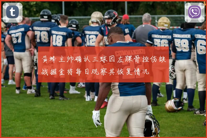 黄蜂主帅确认三球因左踝骨挫伤缺战掘金将每日观察其恢复情况