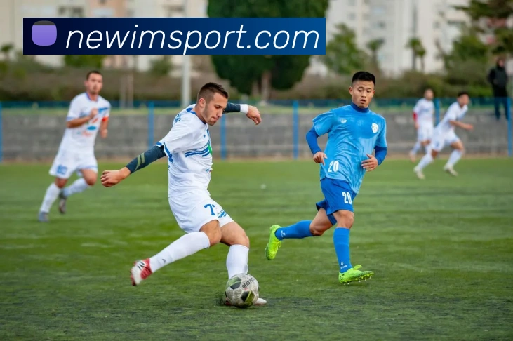 App Interface Preview