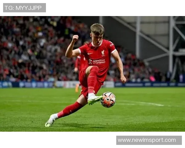 里斯威廉姆斯有望成为科纳特和乔戈麦斯的替补人选