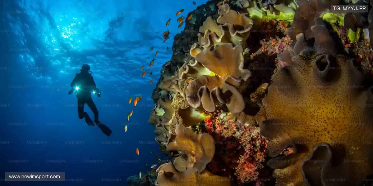 汗水与荣耀的舞台，等你来战！⚽ 报名即享专属福利，点击开启征程！